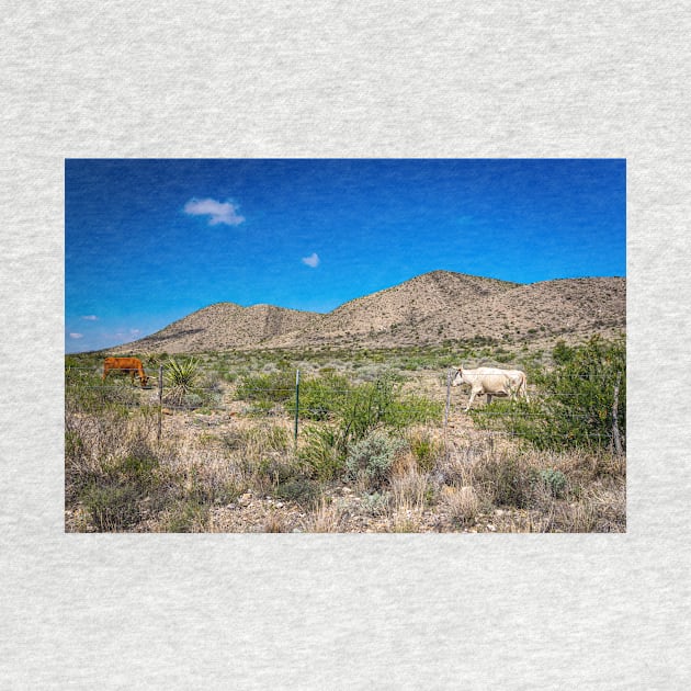 Criollo Cattle on the Open Range by Gestalt Imagery